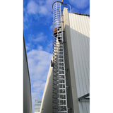 Steel structure maintenance ladder