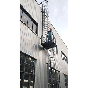 Steel structure maintenance ladder